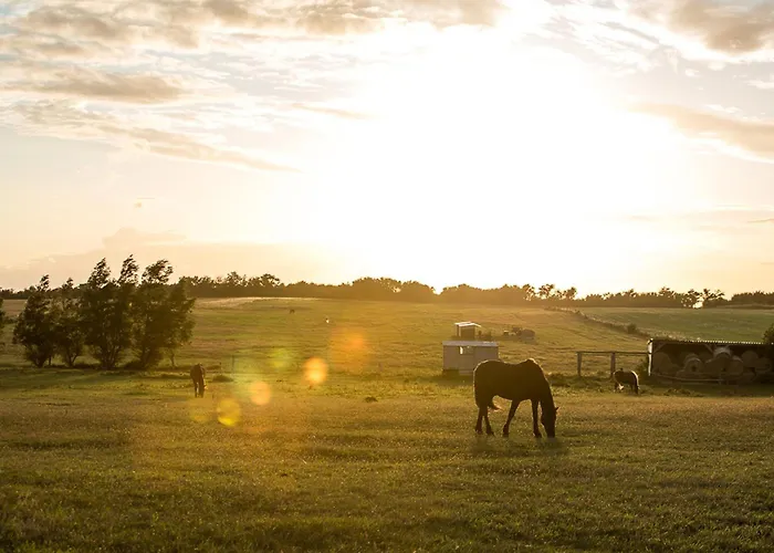 Seeadler 65 Fuhlendorf (Mecklenburg-Vorpommern)