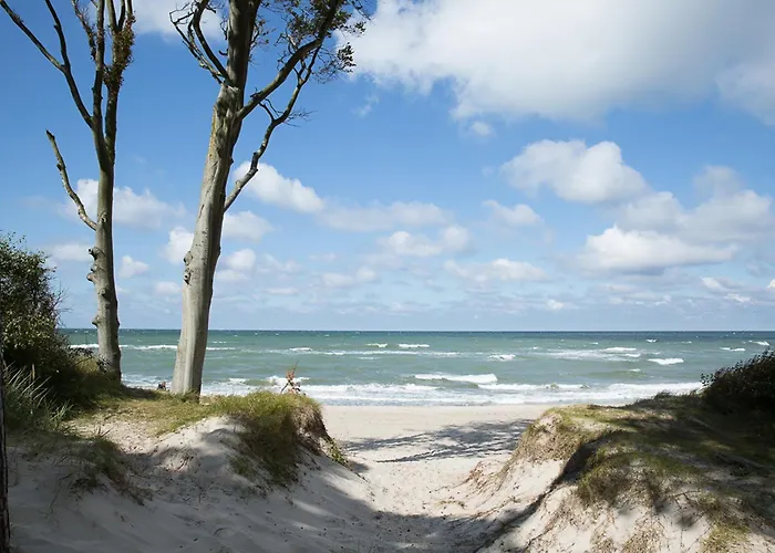 Seeadler 65 بيت للعطل *